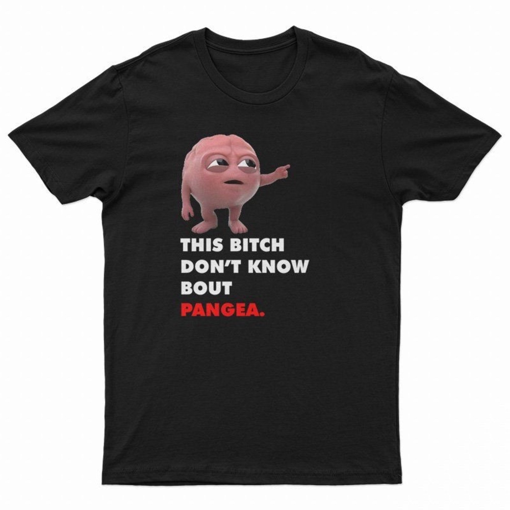 Lil Dicky T Shirt